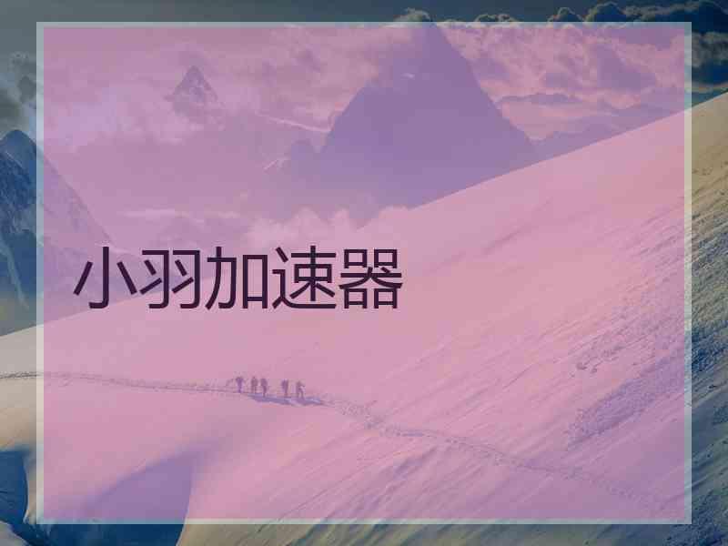 小羽加速器