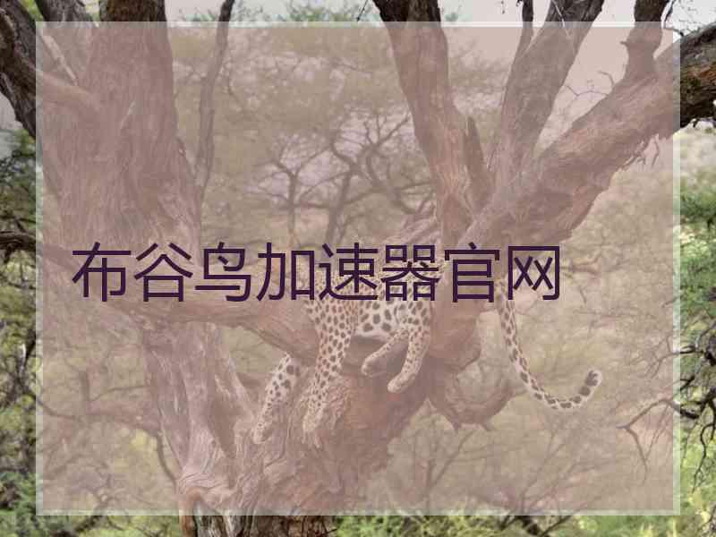 布谷鸟加速器官网