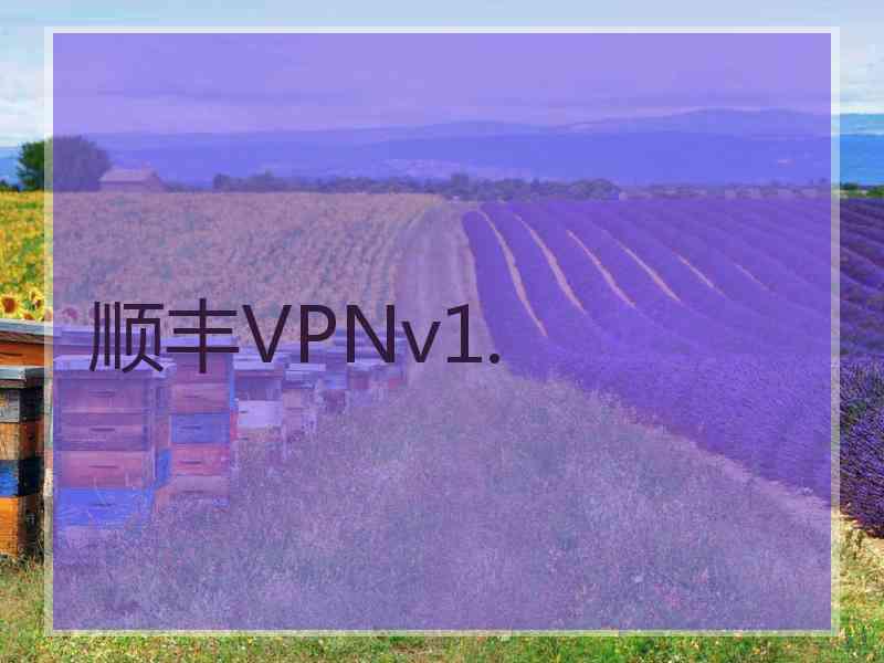 顺丰VPNv1.
