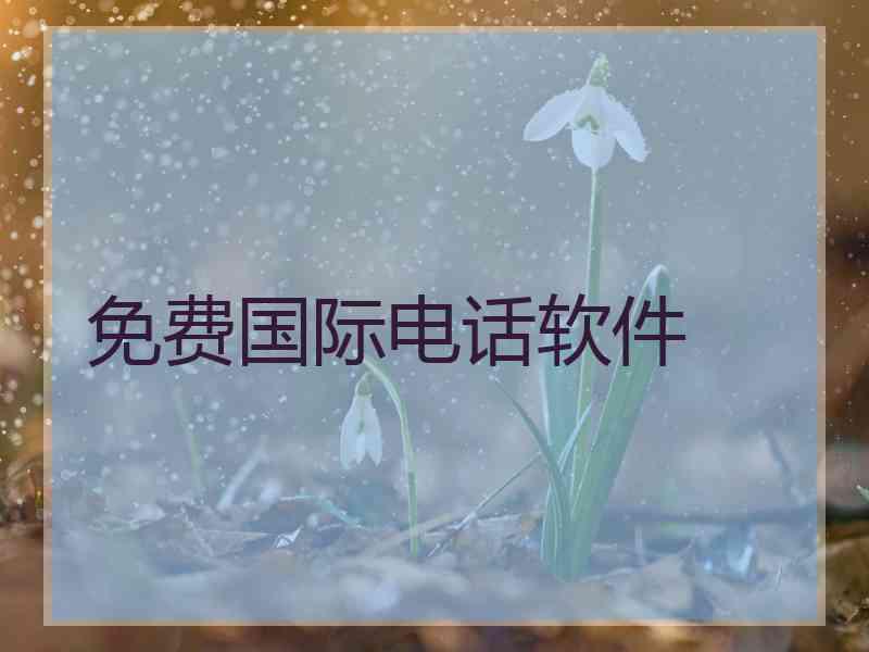 免费国际电话软件