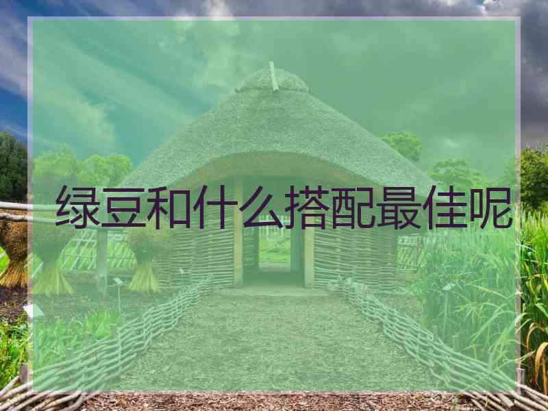绿豆和什么搭配最佳呢