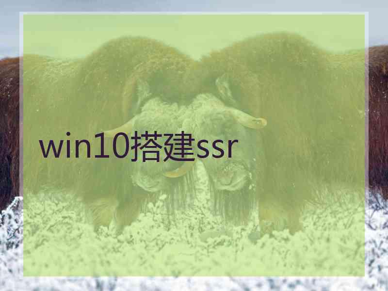 win10搭建ssr