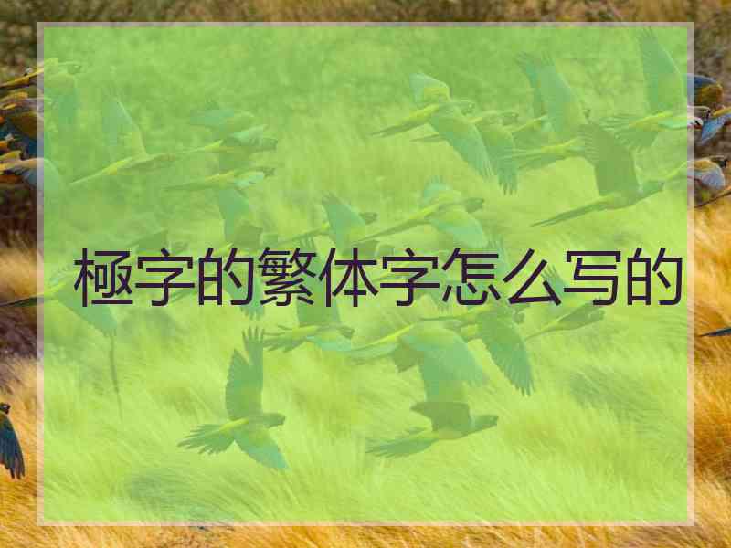極字的繁体字怎么写的