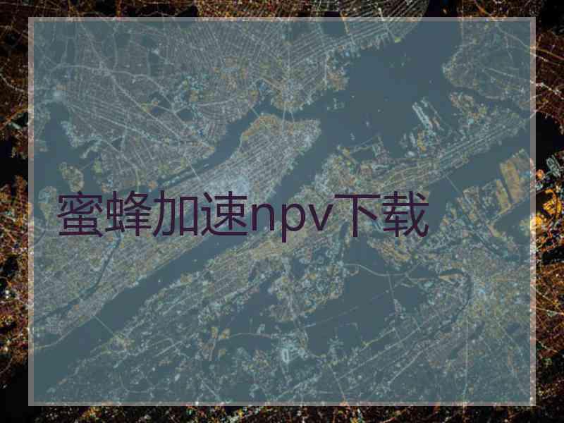 蜜蜂加速npv下载