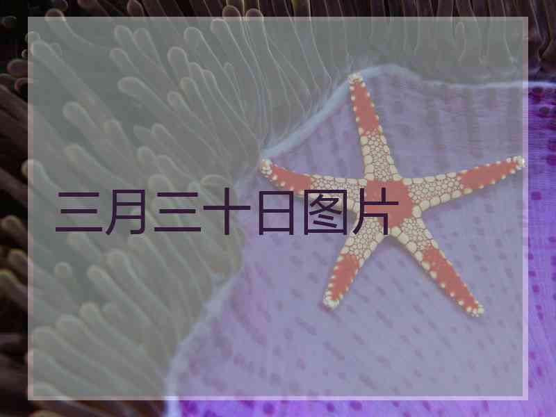 三月三十日图片