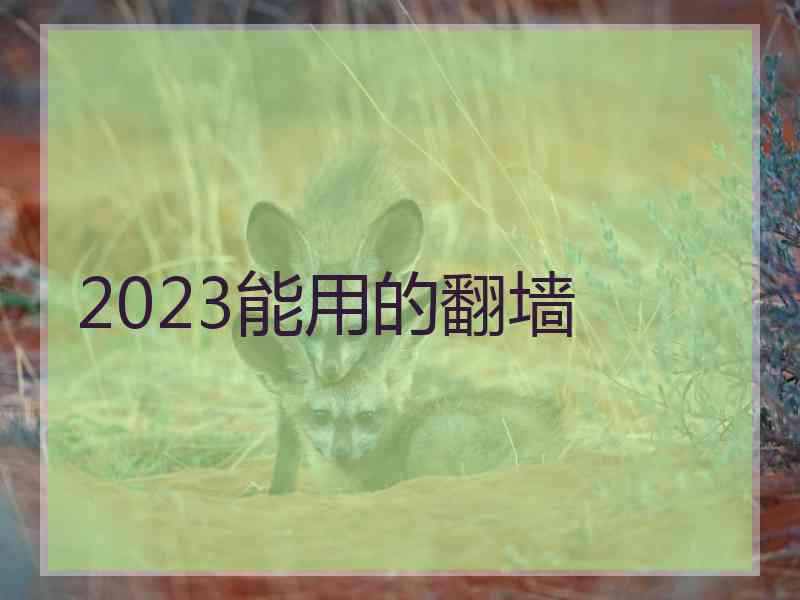 2023能用的翻墙