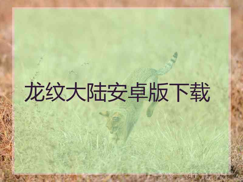 龙纹大陆安卓版下载