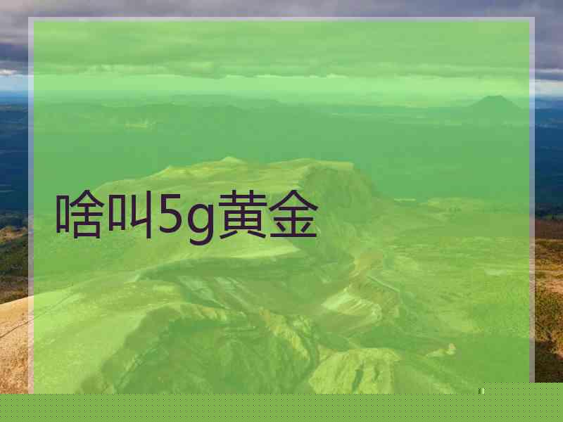 啥叫5g黄金