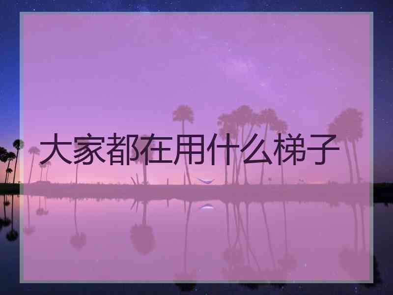 大家都在用什么梯子
