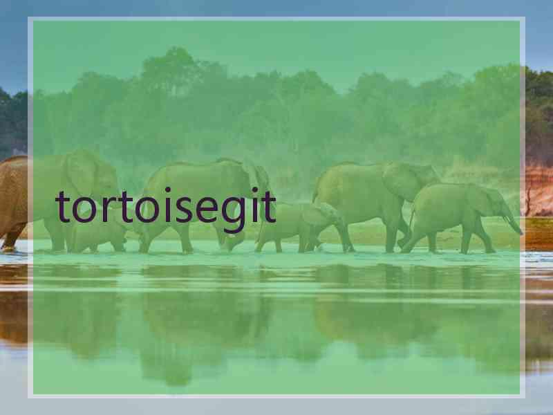 tortoisegit