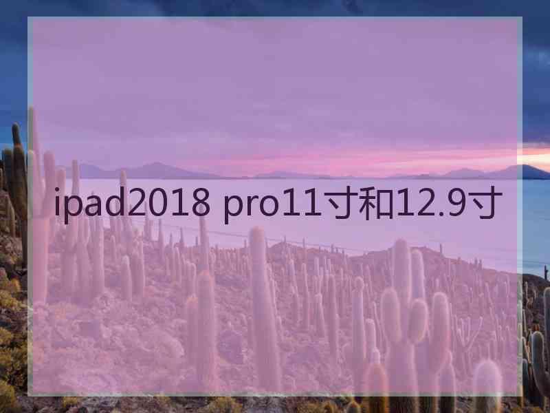ipad2018 pro11寸和12.9寸