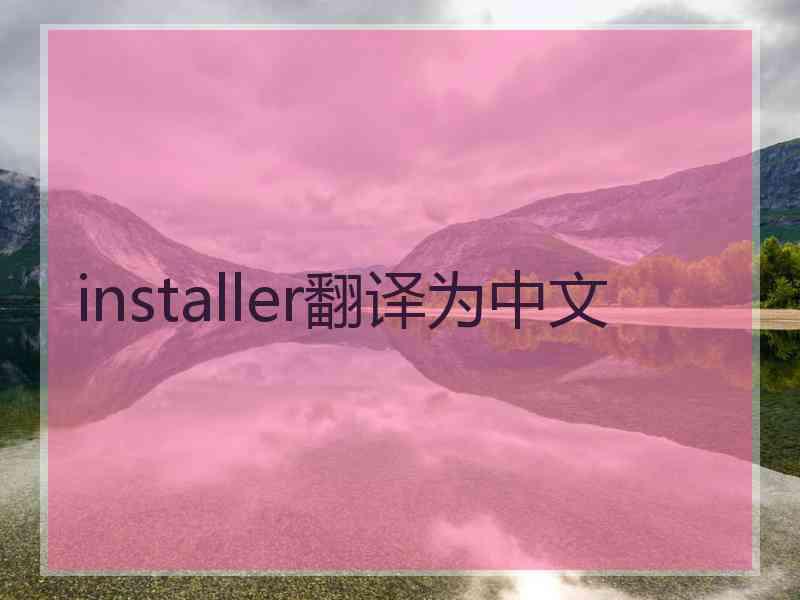 installer翻译为中文