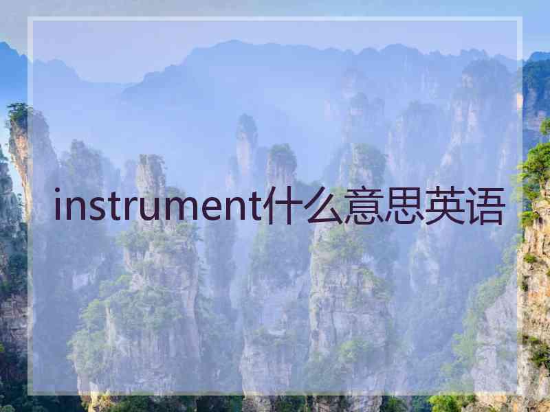 instrument什么意思英语