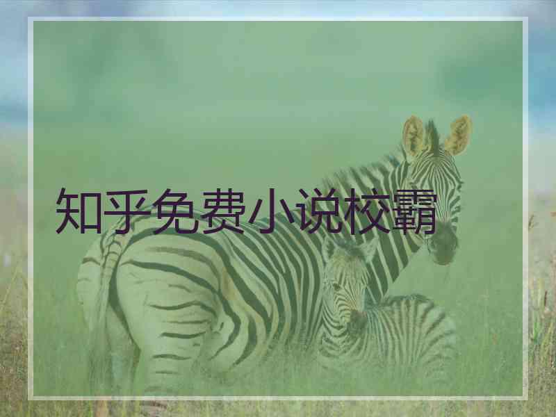 知乎免费小说校霸