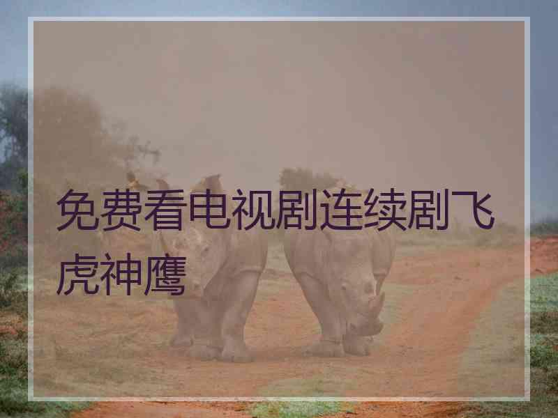 免费看电视剧连续剧飞虎神鹰