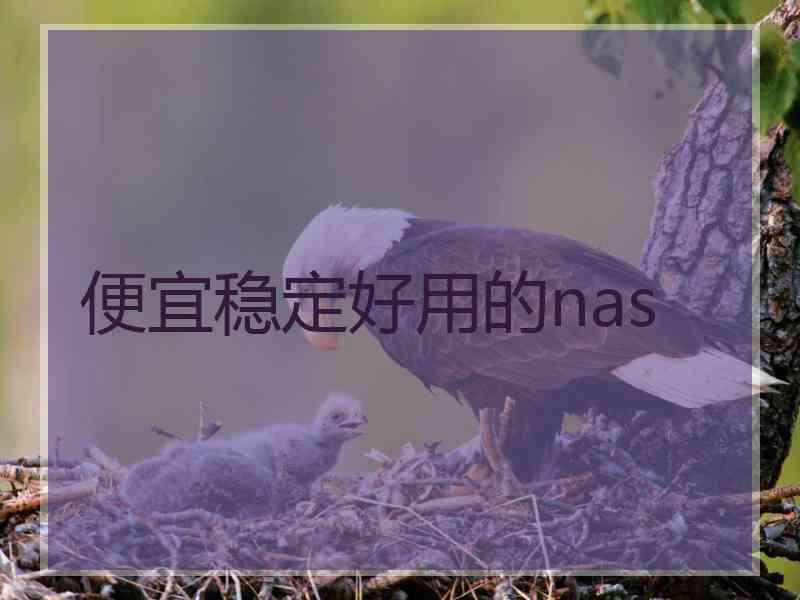 便宜稳定好用的nas
