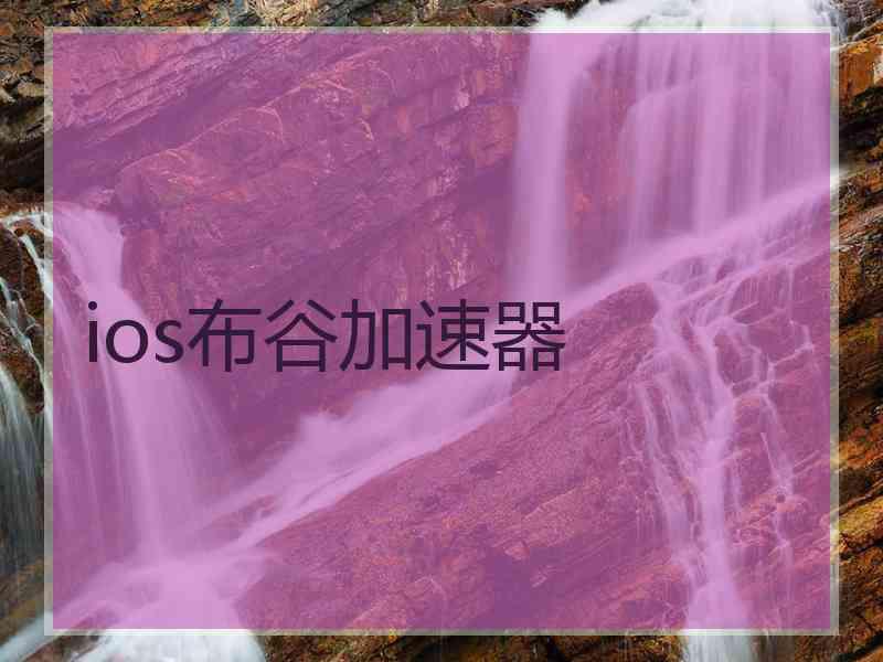 ios布谷加速器