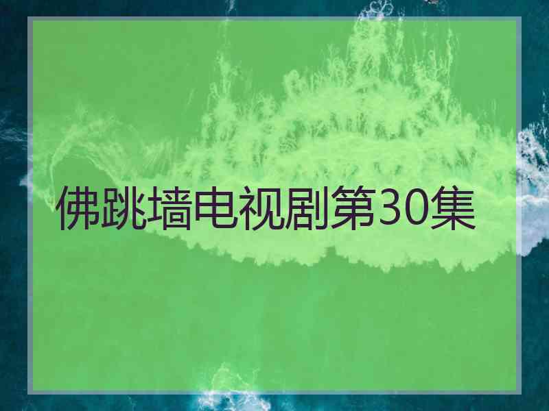 佛跳墙电视剧第30集