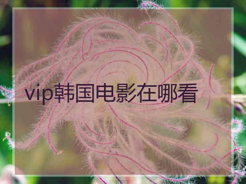 vip韩国电影在哪看