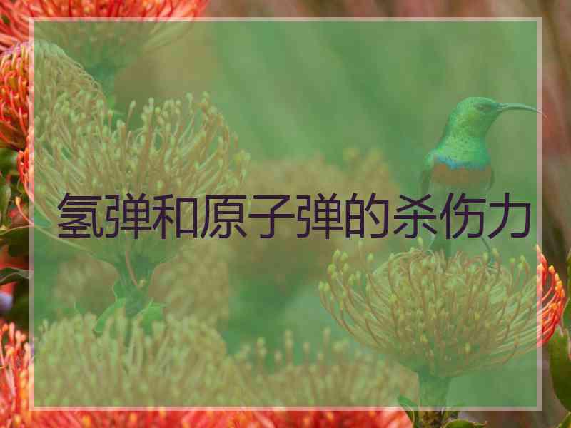 氢弹和原子弹的杀伤力