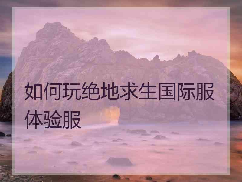 如何玩绝地求生国际服体验服