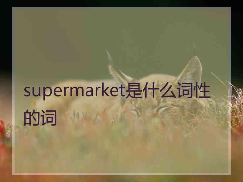 supermarket是什么词性的词