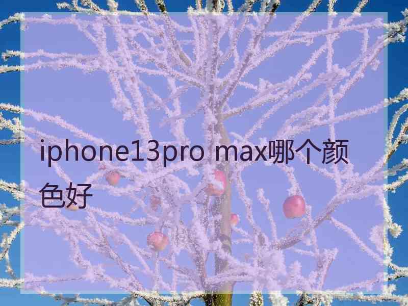 iphone13pro max哪个颜色好