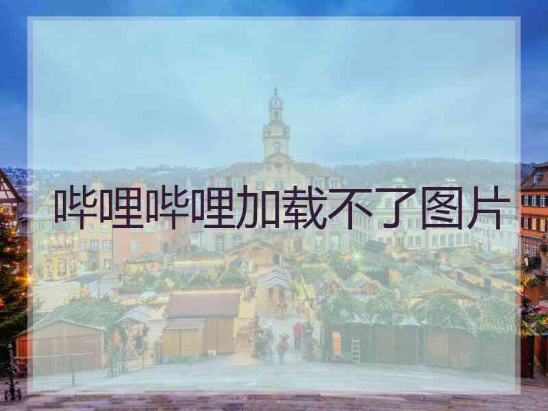 哔哩哔哩加载不了图片
