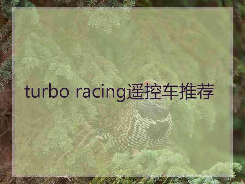 turbo racing遥控车推荐