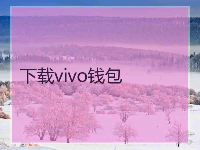 下载vivo钱包