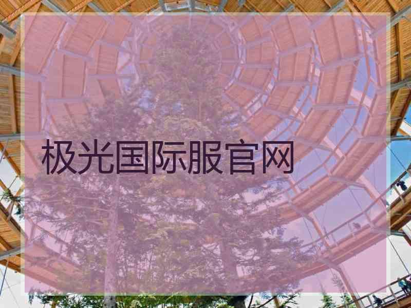 极光国际服官网