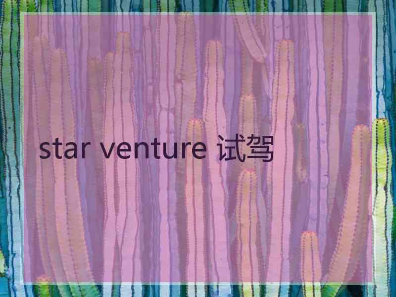star venture 试驾