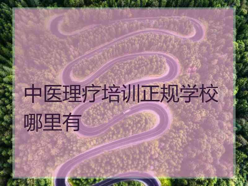 中医理疗培训正规学校哪里有