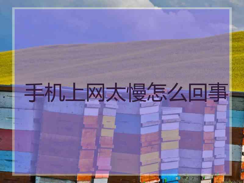 手机上网太慢怎么回事