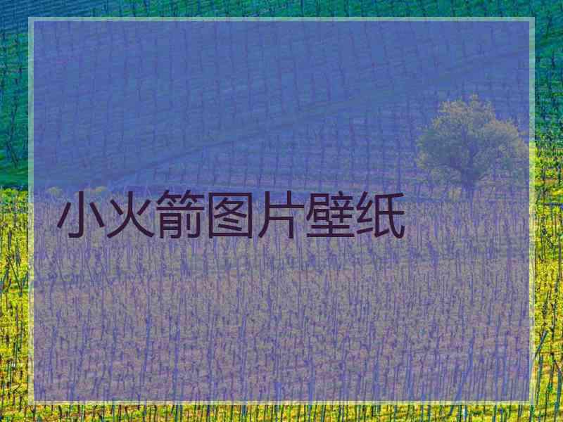 小火箭图片壁纸
