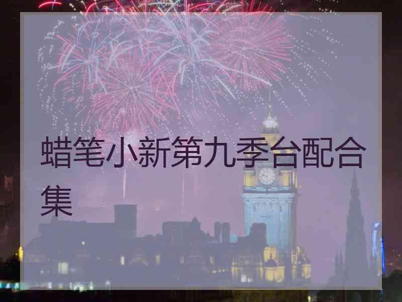 蜡笔小新第九季台配合集