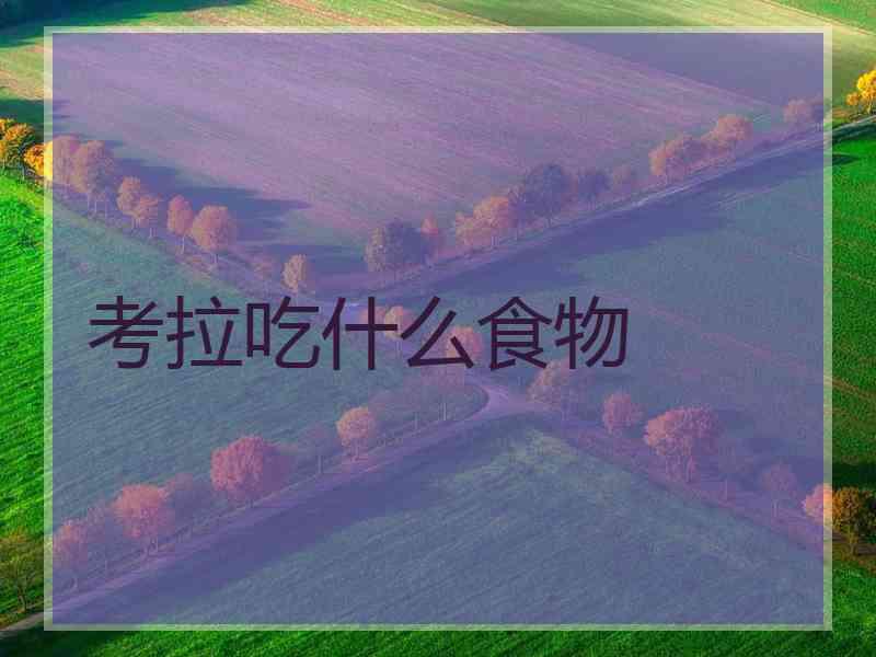 考拉吃什么食物
