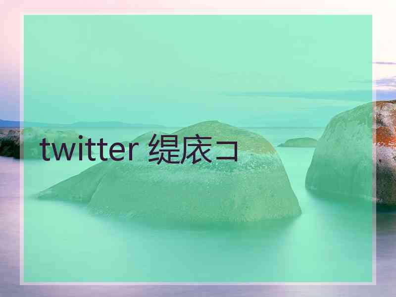 twitter 缇庡コ