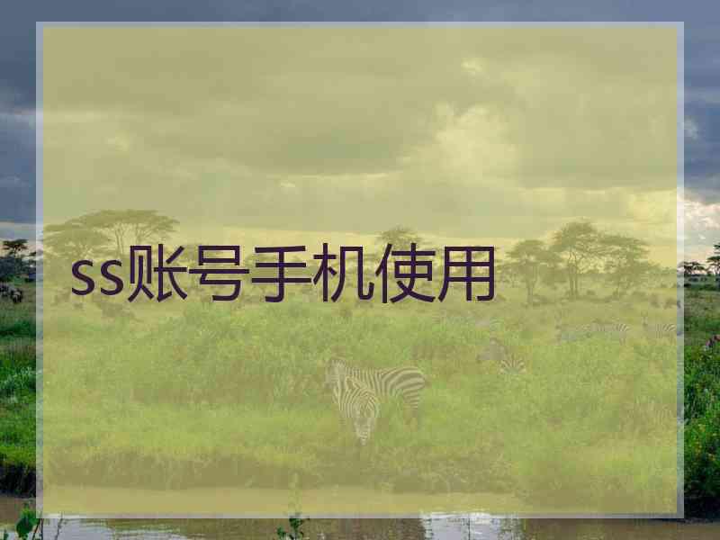 ss账号手机使用
