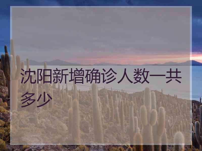 沈阳新增确诊人数一共多少