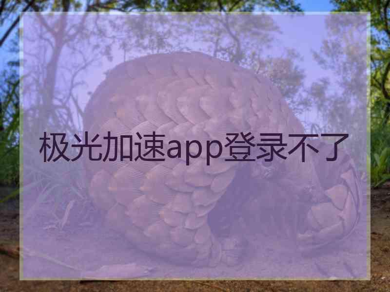 极光加速app登录不了