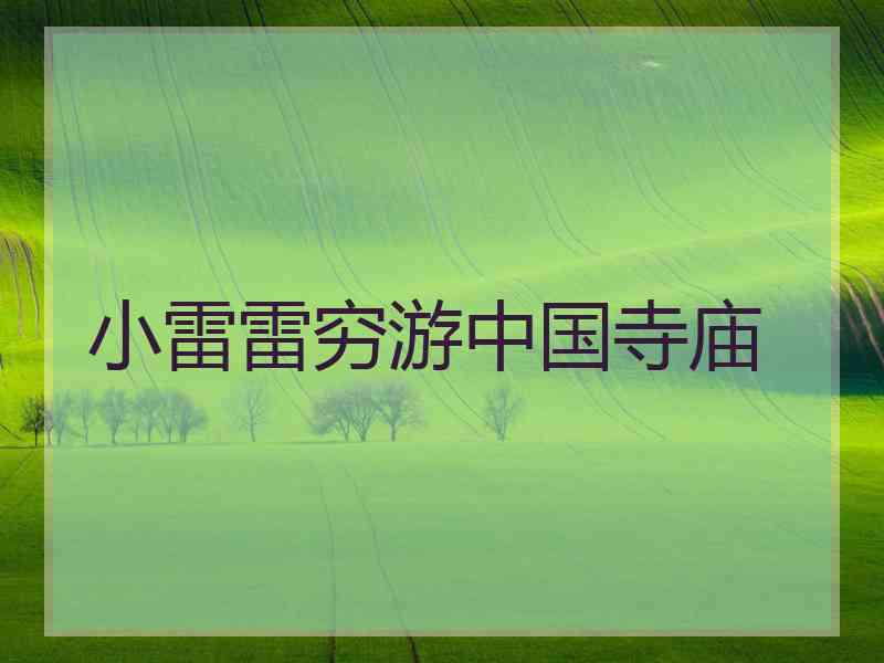 小雷雷穷游中国寺庙