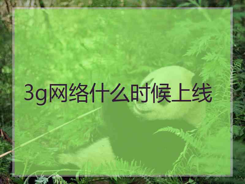 3g网络什么时候上线