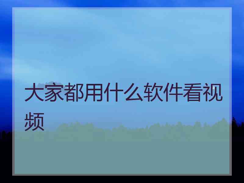 大家都用什么软件看视频