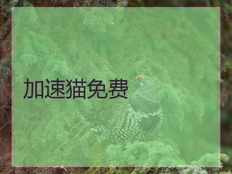 加速猫免费