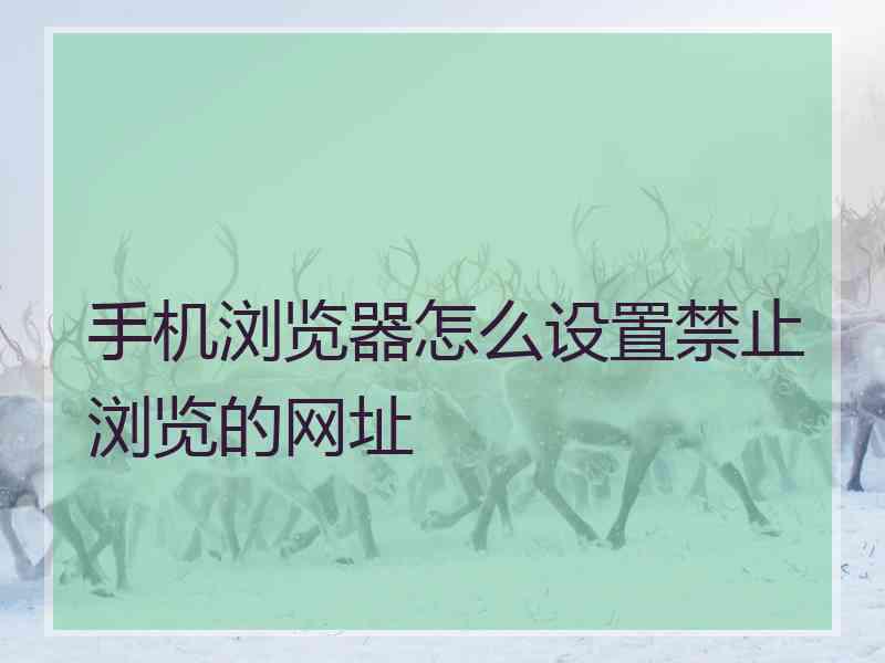 手机浏览器怎么设置禁止浏览的网址