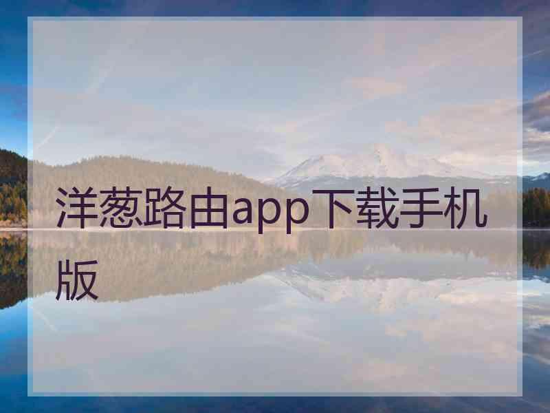 洋葱路由app下载手机版