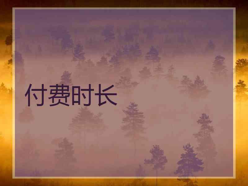 付费时长