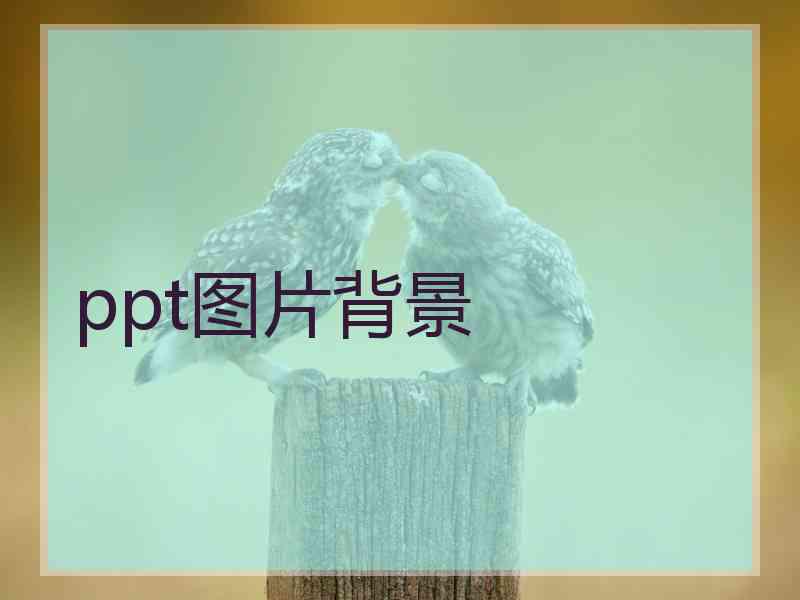 ppt图片背景