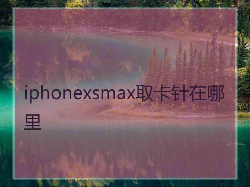 iphonexsmax取卡针在哪里
